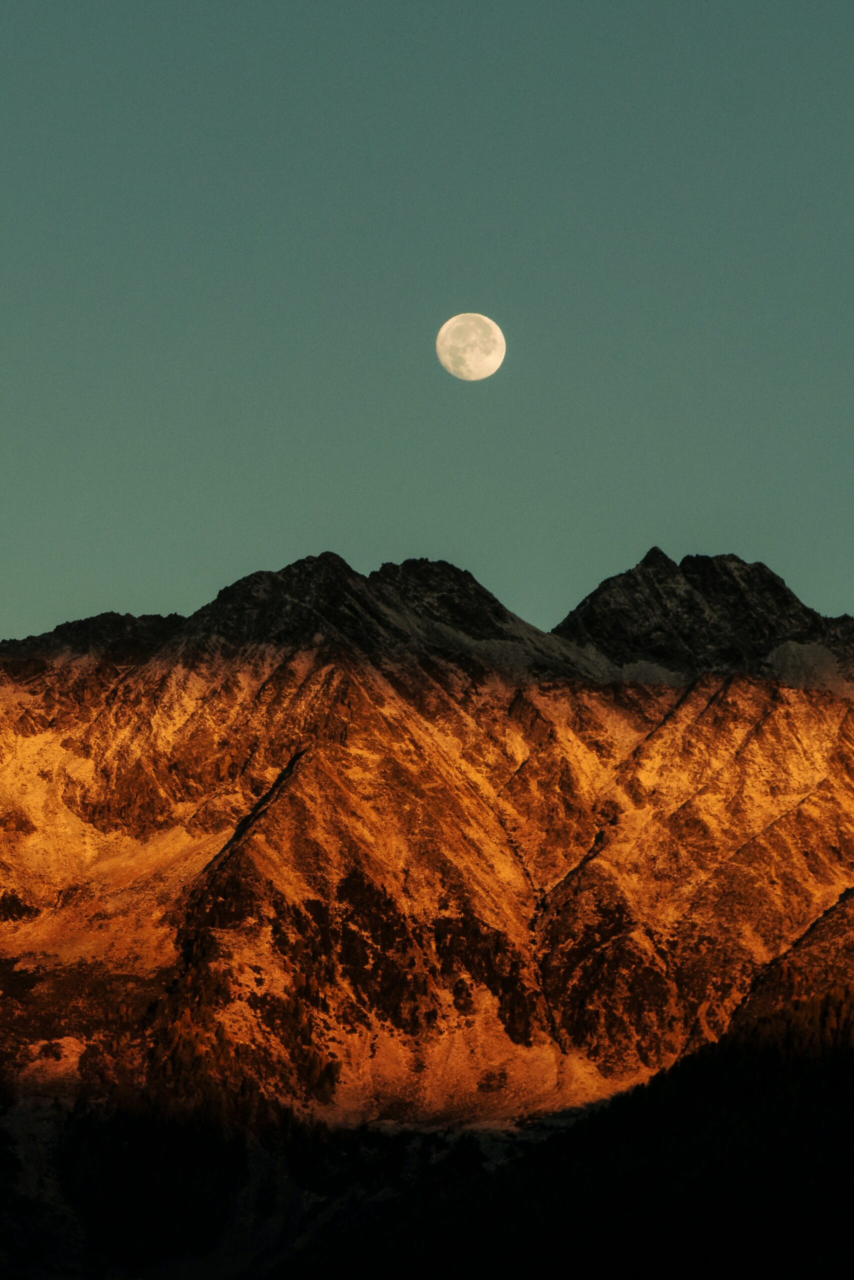 In the sunshine, by the moonlight shadow