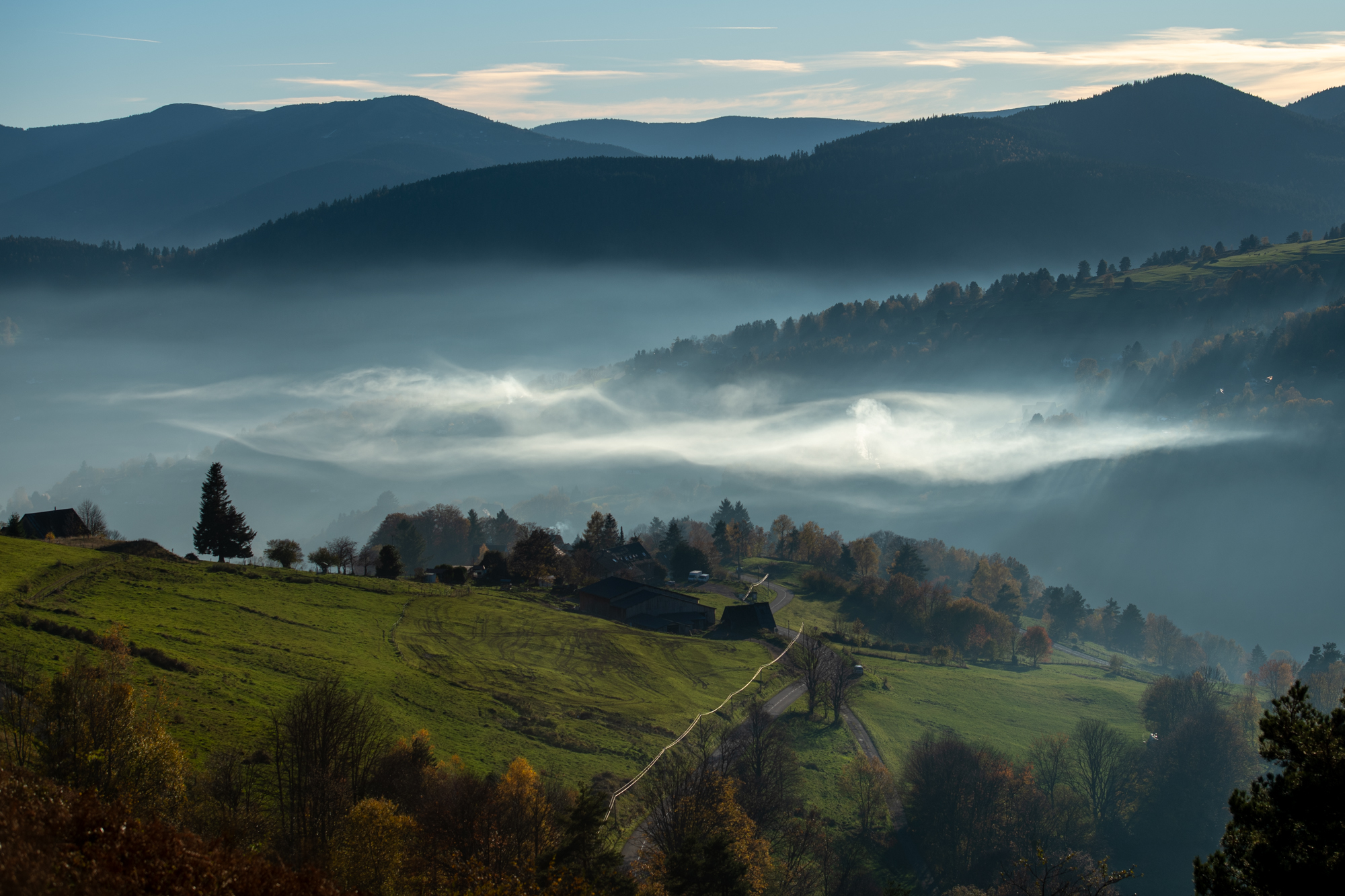 NatureWhisper_HowardBrundrett @howardbrundrettphotography