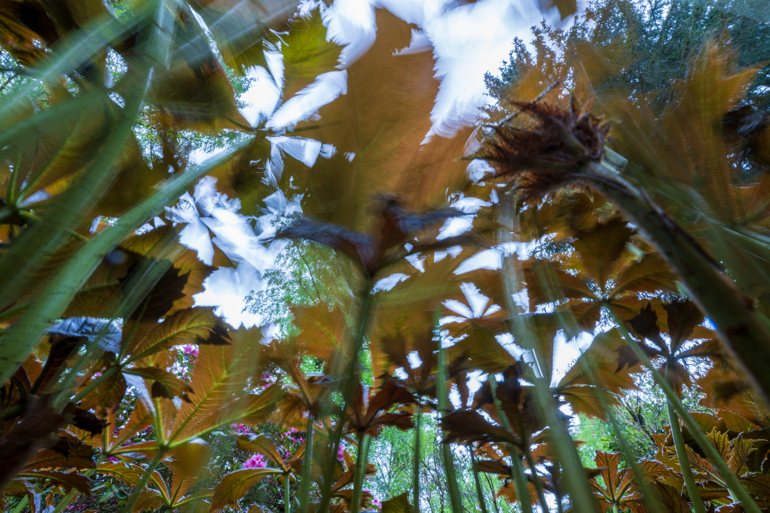 Howard Brundrett-HB9_1996